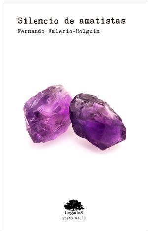SILENCIO DE AMATISTAS | 9788494687242 | VALERIO-HOLGUÍN, FERNANDO
