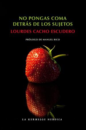 NO PONGAS COMA DETRÁS DE LOS SUJETOS | 9788494687280 | CACHO ESCUDERO, LOURDES