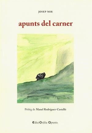 APUNTS DEL CARNER | 9788412348569 | MIR, JOSEP