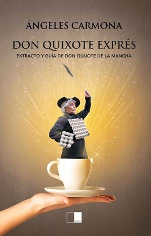 DON QUIXOTE EXPRÉS | 9788418117381 | CARMONA BARRIO, ÁNGELES