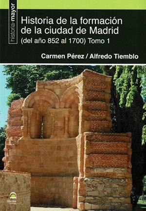 HISTORIA DE LA FORMACIÓN DE LA CIUDAD DE MADRID | 9788498275780 | PÉREZ, CARMEN / TIEMBLO MAGRO, ALFREDO