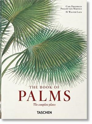 VON MARTIUS EL LIBRO DE LAS PALMERAS (40TH ED) | 9783836587822 | LACK, H. WALTER