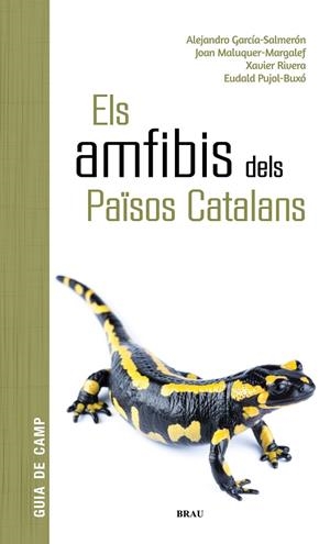 AMFIBIS DELS PAÏSOS CATALANS, ELS | 9788418096341 | GARCÍA SALMERÓN, ALEJANDRO / MALUQUER MARGALEF, JOAN / RIVERA MULA, XAVIER / PUJOL BUXÓ, EUDALD