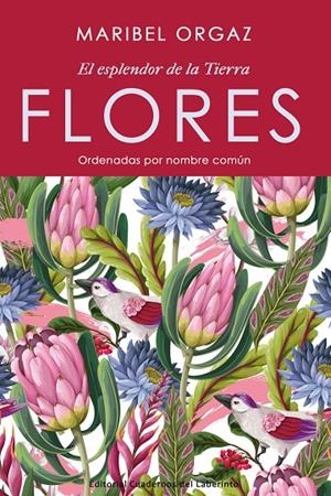 FLORES. EL ESPLENDOR DE LA TIERRA | 9788418997198 | ORGAZ, MARIBEL