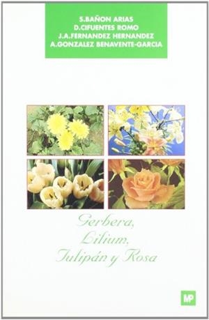 GERBERA , LILIUM, TULIPÁN Y ROSA | 9788471144461 | BAÑON ARIAS, SEBASTIAN  / CIFUENTES ROMO , DINA / FERNANDEZ HERNANDEZ, JUAN ANTONIO / GONZÁLEZ BENAV