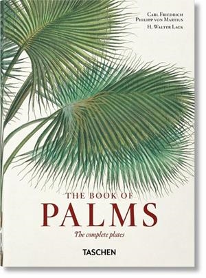 BOOK OF PALMS, THE (40 TH. EDITION) | 9783836587815 | LACK, H WALTER