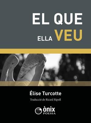 QUE ELLA VEU, EL | 9788412151909 | TURCOTTE, ÉLISE