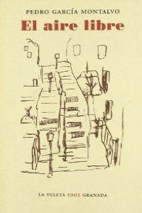 AIRE LIBRE, EL | 9788484446354 | GARCIA MONTALVO, PEDRO