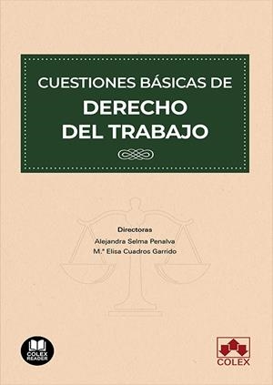 CUESTIONES BASICAS DE DERECHO DEL TRABAJO | 9788413595764 | SELMA PENALVA, ALEJANDRA