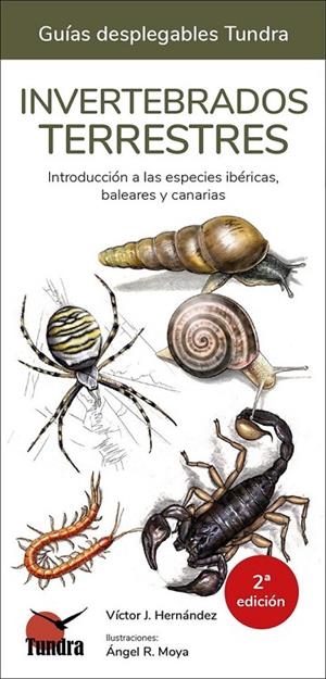 INVERTEBRADOS TERRESTRES (2 EDICION) | 9788418458804 | HERNADEZ, VICTOR