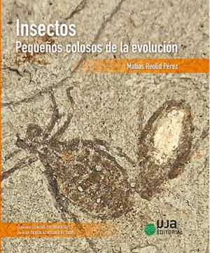 INSECTOS : PEQUEÑOS COLOSOS DE LA EVOLUCIÓN | 9788491594796 | REOLID PÉREZ, MATÍAS