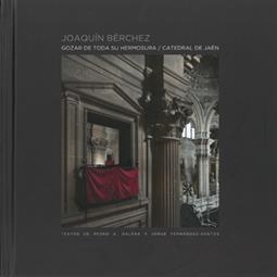 GOZAR DE TODA SU HERMOSURA. CATEDRAL DE JAÉN | 9788491590279 | BÉRCHEZ GÓMEZ, JOAQUÍN / GALERA ANDREU, PEDRO A. / FERNÁNDEZ-SANTOS, JORGE