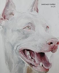 SIN FIN. SANTIAGO YDÁÑEZ | 9788491590798 | YDÁÑEZ, SANTIAGO