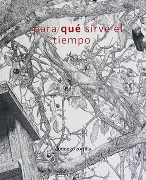 PARA QUÉ SIRVE EL TIEMPO | 9788491592228 | ZORRILLA LUMBRERAS, DOMINGO