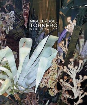 SIN ATAJOS. MIGUEL ÁNGEL TORNERO | 9788491592587 | TORNERO CRUZ, MIGUEL ÁNGEL