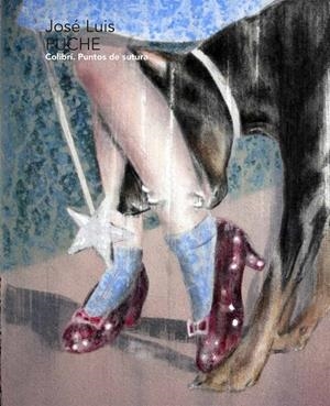 COLIBRÍ | 9788491594338 | PUCHE NIETO, JOSÉ LUIS