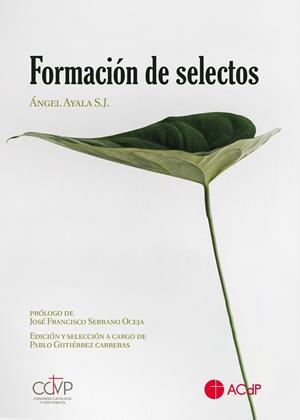 FORMACIÓN DE SELECTOS | 9788417385453 | ÁNGEL AYALA SJ.