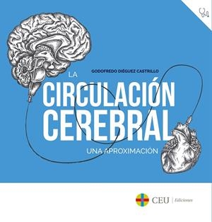 CIRCULACIÓN CEREBRAL, LA | 9788417385811 | DIÉGUEZ CASTRILLO, GODOFREDO