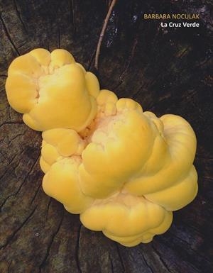 CRUZ VERDE, LA | 9788491591009 | NOCULAK, BARBARA