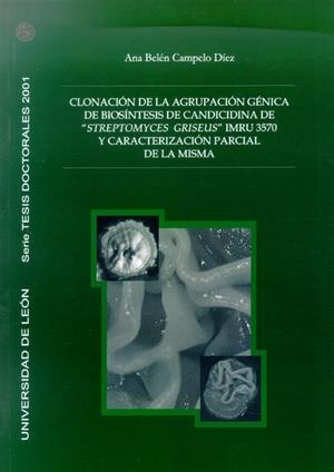 CLONACIÓN DE LA AGRUPACIÓN GÉNICA DE BIOSÍNTESIS DE CANDICIDINA DE "STREPTOMYCES GRISEUS" IMRU 3570 Y CARACTERIZACIÓN PARCIAL DE LA MISMA | 9788497732000 | CAMPELO DÍEZ, ANA BELÉN