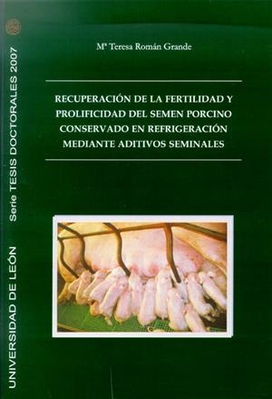 RECUPERACIÓN DE LA FERTILIDAD Y PROLIFERACIÓN DEL SEMEN PORCINO CONSERVADO EN REFRIGERACIÓN MEDIANTE ADITIVOS SEMINALES | 9788497733779 | ROMÁN GRANDE, MARÍA TERESA