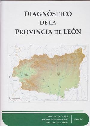 DIAGNÓSTICO DE LA PROVINCIA DE LEÓN | 9788497739061