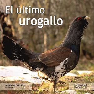 ÚLTIMO UROGALLO, EL | 9788418490125 | VARIOS AUTORES