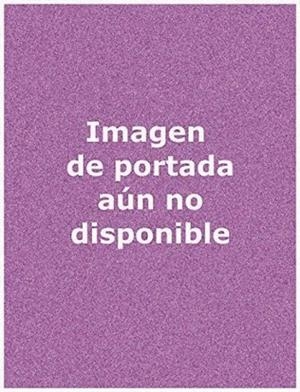 RECEPCION DE LAS INSTITUCIONES ROMANAS EN LA BIOGRAFÍA DE ALONSO ANTONIO DE SAN MARTIN, HIJO DE FELIPE IV | 9788484088752 | GARCÍA FUEYO, BEATRIZ