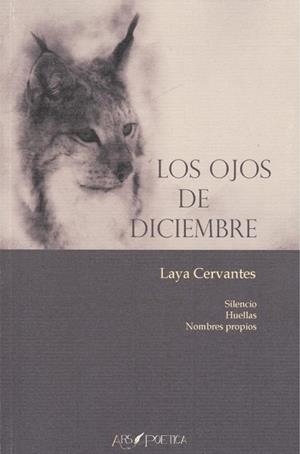OJOS DE DICIEMBRE, LOS | 9788417691370 | MORENO RODRÍGUEZ-ISLA, CONCHA