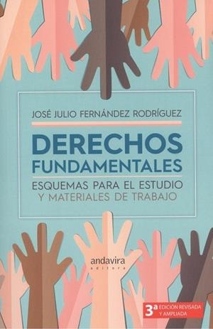 DERECHOS FUNDAMENTALES | 9788412094503 | FERNÁNDEZ RODRÍGUEZ, JOSÉ JULIO