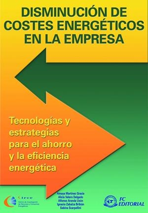 DISMINUCIÓN DE COSTES ENERGÉTICOS EN LA EMPRESA | 9788496169791 | MARTINEZ GRACIA, AMAYA / VALERO DELGAD, ALICIA