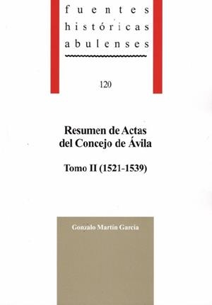 RESUMEN DE ACTAS DEL CONCEJO DE ÁVILA TOMO II | 9788415038931 | MARTIN GARCIA, GONZALO