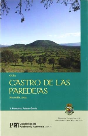 CASTRO DE LAS PAREDEJAS | 9788496433151 | FABIÁN GARCÍA, J. FRANCISCO