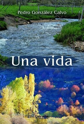 VIDA, UNA | 9788411149877 | GONZALEZ CALVO, PEDRO