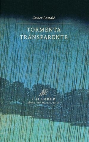 TORMENTA TRANSPARENTE | 9788483591987 | LOSTALÉ, JAVIER