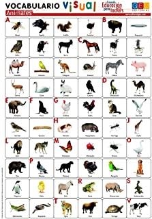 ANIMALES : VOCABULARIO VISUAL LAMINAS FLEXIBLES | 8436548130046