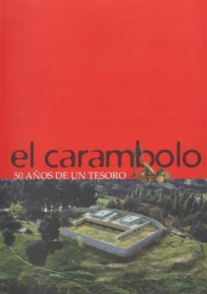 CARAMBOLO, EL | 9788482669151 | AMORES CARREDANO, FERNANDO D.