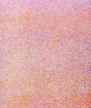 JAIME BURGUILLOS, HOMENAJE | 9788484551034