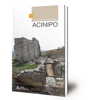 ACINIPO | 9788499594026 | VARIOS AUTORES