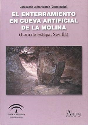 ENTERRAMIENTO EN CUEVA ARTIFICIAL DE LA MOLINA, EL | 9788482669786