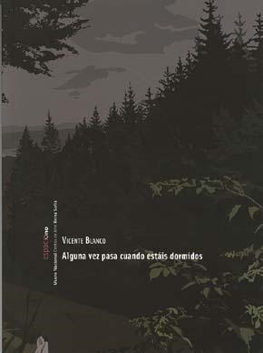 VICENTE BLANCO. ALGUNA VEZ PASA CUANDO ESTÁIS DORMIDOS | 9788480262422 | MUSEO NACIONAL CENTRO DE ARTE REINA SOFIA