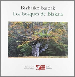 BIZKAIKO BASOAK / LOS BOSQUES DE BIZKAIA | 9788477523451 | LOIDI, JAVIER
