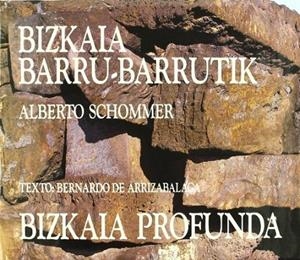 BIZKAIA BARRU-BARRUTIK / BIZKAIA PROFUNDA | 9788477520351 | ARRIZABALAGA, BERNARDO DE