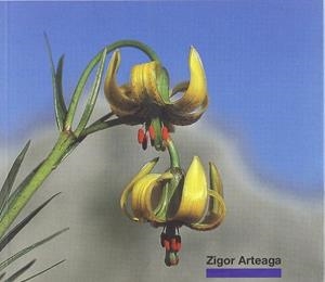 URKIOLAKO NATUR PARKEKO LANDAREN GIDA / GUÍA DE PLANTAS DEL PARQUE NATURAL DE URKIOLA | 9788477523734 | ARTEAGA, ZIGOR