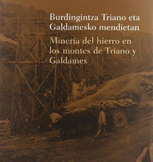 BURDINGINTZA TRIANO ETA GALDAMESEKO MENDIETAN / MINERÍA DEL HIERRO EN LOS MONTES | 9788477523437 | PÉREZ GOIKOETXEA, ENEKO