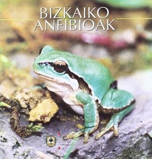 AREATZA-VILLARO (MONOGRAFÍAS DE PUEBLOS DE BIZKAIA) | 9788477523307 | PÉREZ, FERNANDO PEDRO