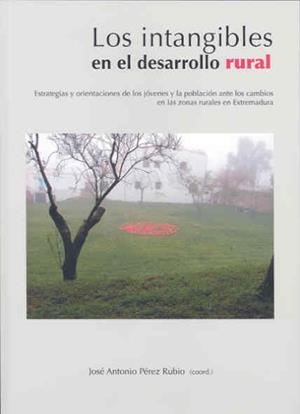 "INTANGIBLES" EN EL DESARROLLO RURAL, LOS. ESTRATEGIAS Y ORIENTACIONES DE LOS JÓVENES Y LA POBLACIÓN ANTE LOS CAMBIOS EN LAS ZONAS RURALES EN EXTREMAD | 9788477237730 | VARIOS AUTORES