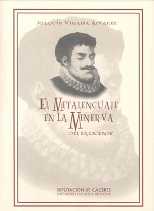 METALENGUAJE EN 'LA MINERVA' DEL BROCENSE, EL | 9788495239075 | VARIOS AUTORES