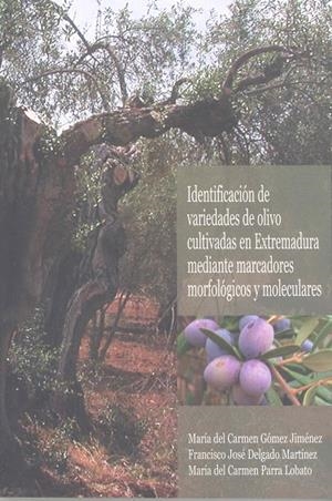 IDENTIFICACIÓN DE VARIEDADES DE OLIVO CULTIVADAS EN EXTREMADURA MEDIANTE MARCADORES MORFOLÓGICOS Y MOLECULARES | 9788477239420 | GÓMEZ JIMÉNEZ, MARÍA DEL CARMEN / DELGADO MARTÍNEZ, FRANCISCO JOSÉ / PARRA LOBATO, Mª DEL CARMEN