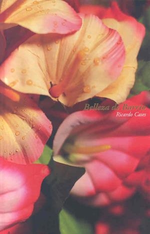 BELLEZA DE BARRIO | 9788477238539 | CASES, RICARDO